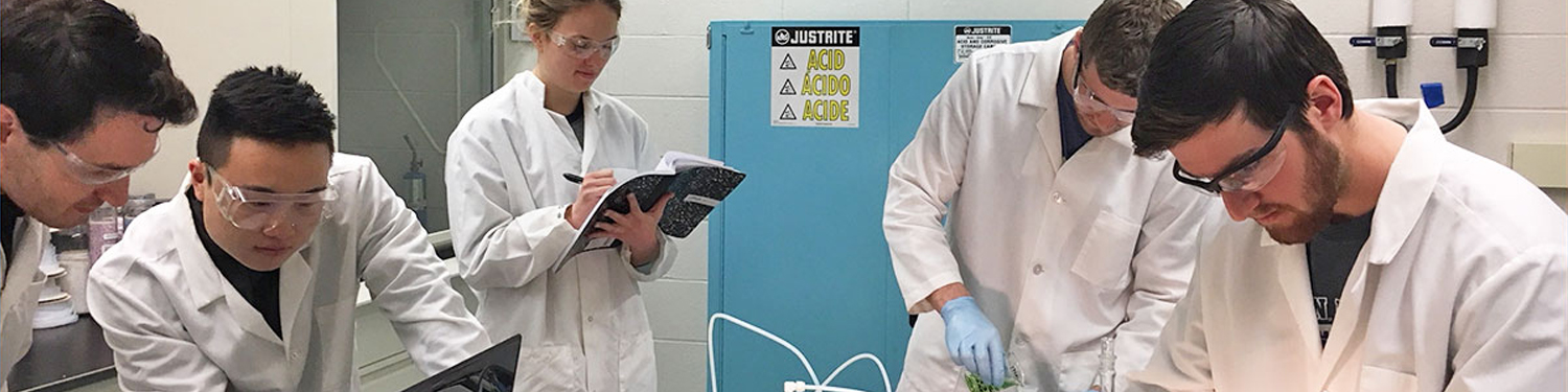 Undergraduate students studying the fundamental properties of electrochemical energy conversion systems.