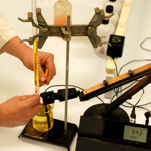 Institute Expands into Renovated Lab Space