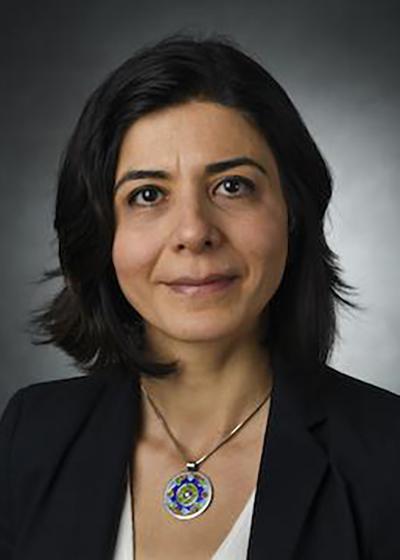 Parisa Shokouhi