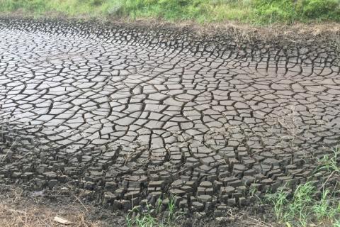 A byproduct of coal mining, acid mine drainage sludge sites, like this one in central Pennsylvania, are rich in critical mineral