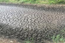 A byproduct of coal mining, acid mine drainage sludge sites, like this one in central Pennsylvania, are rich in critical mineral