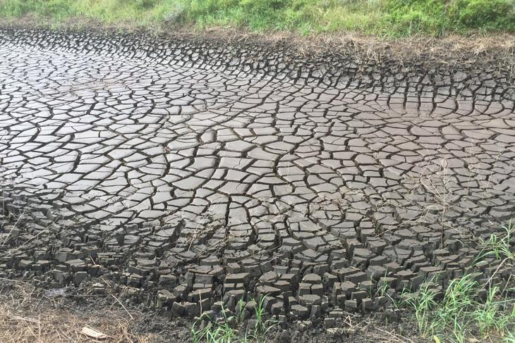 A byproduct of coal mining, acid mine drainage sludge sites, like this one in central Pennsylvania, are rich in critical mineral