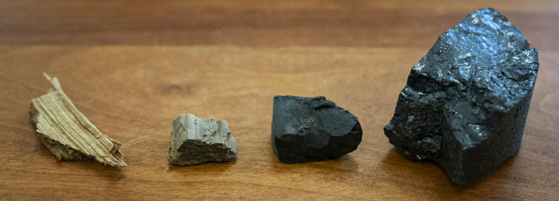 Max Lloyd, assistant research professor of geosciences at Penn State, tested samples from around the world. From the left are wood, lignite, subbituminous and bituminous coal. Credit: Patrick Mansell, Penn State / Penn State, Creative Commons
