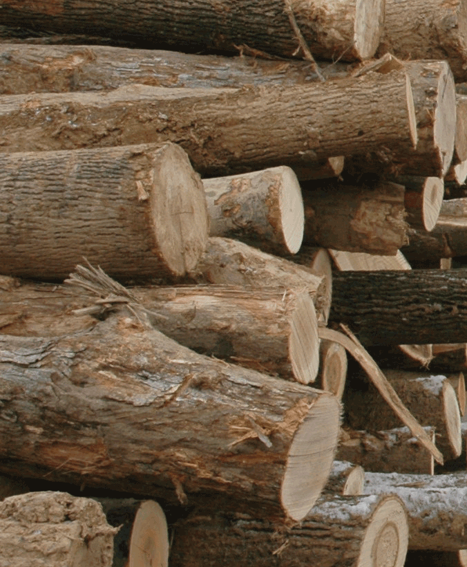 Pennsylvania Biomass Working Group