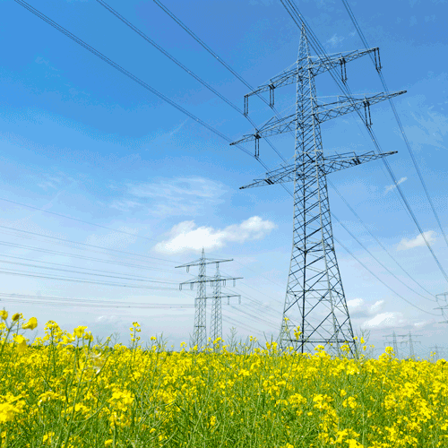 Energy Institute Scholars Explore New Electricity Markets