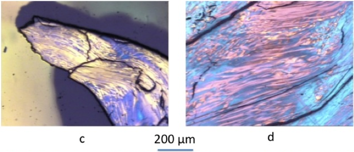These polarized-light micrographs are examples of optical textures of semi-cokes obtained from laboratory experiments at 200 um.