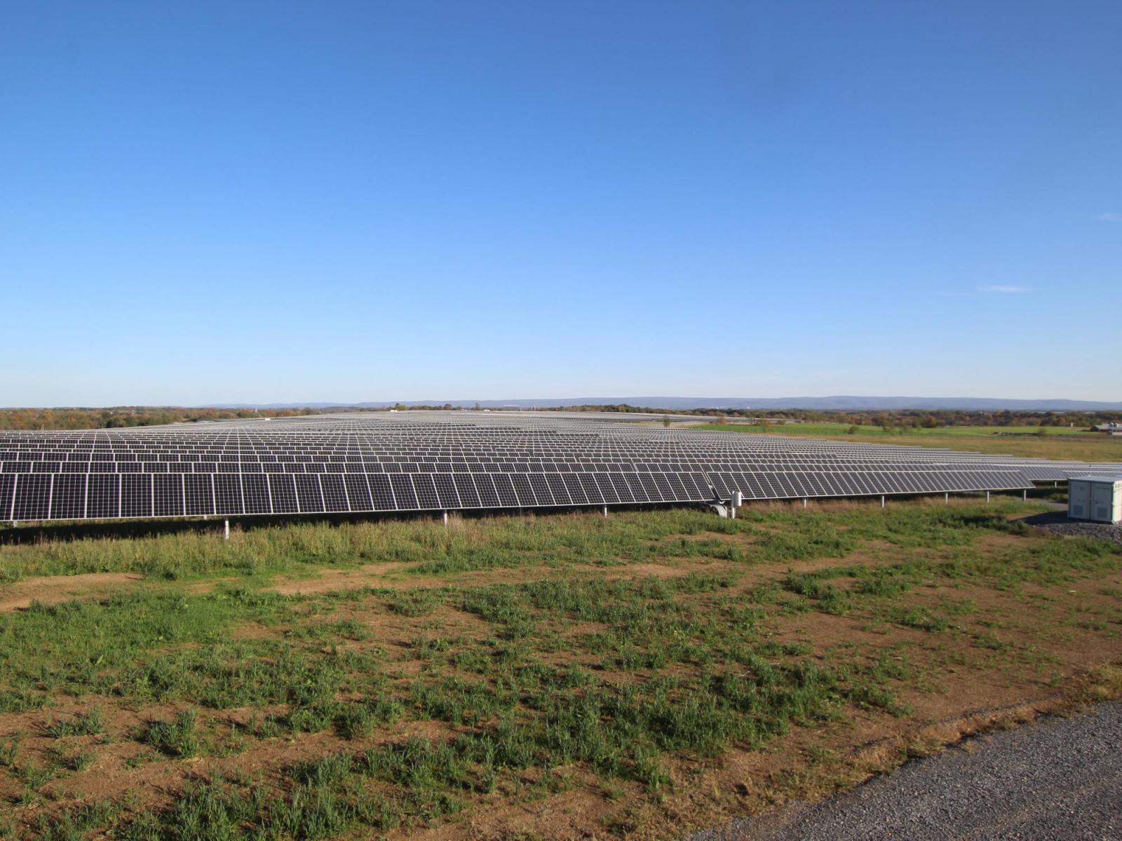 Field full of solar panels.
